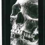 CALAVERAS – 2012-Seite-2