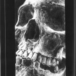 CALAVERAS VOL.III-Seite-2